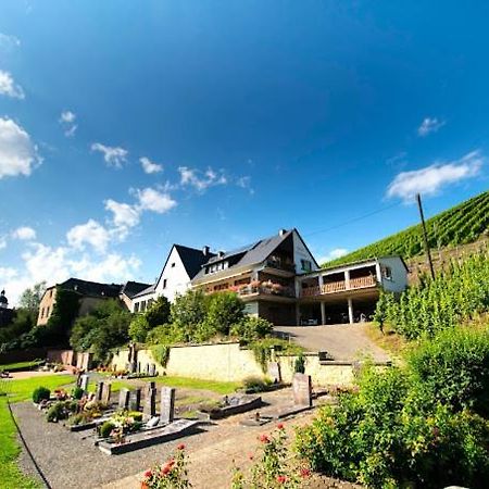 Chateau-De-La-Moselle Kinheim Esterno foto