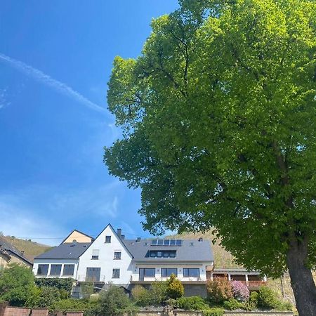 Chateau-De-La-Moselle Kinheim Esterno foto