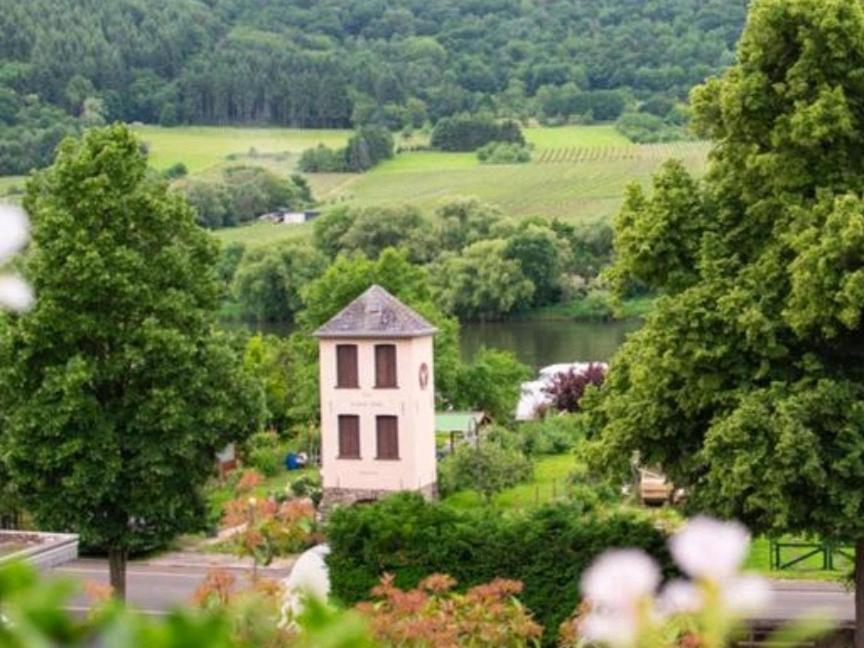 Chateau-De-La-Moselle Kinheim Esterno foto