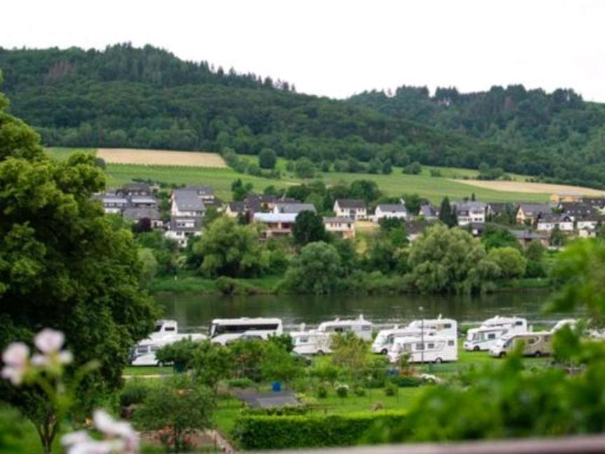 Chateau-De-La-Moselle Kinheim Esterno foto