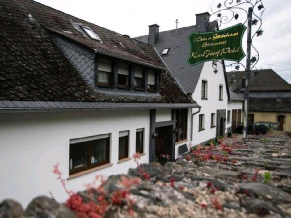 Chateau-De-La-Moselle Kinheim Esterno foto