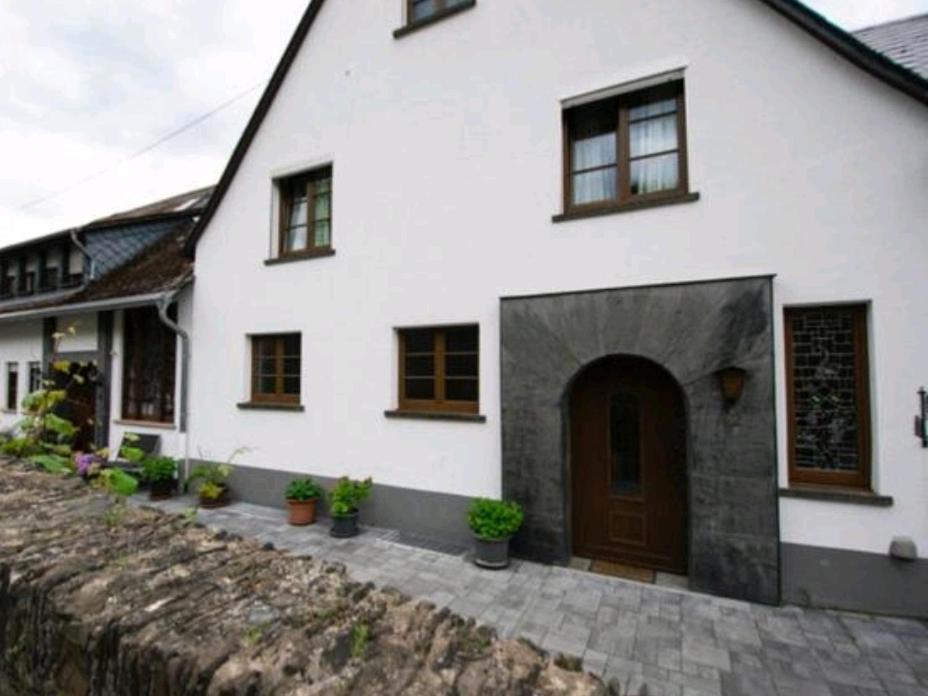Chateau-De-La-Moselle Kinheim Esterno foto