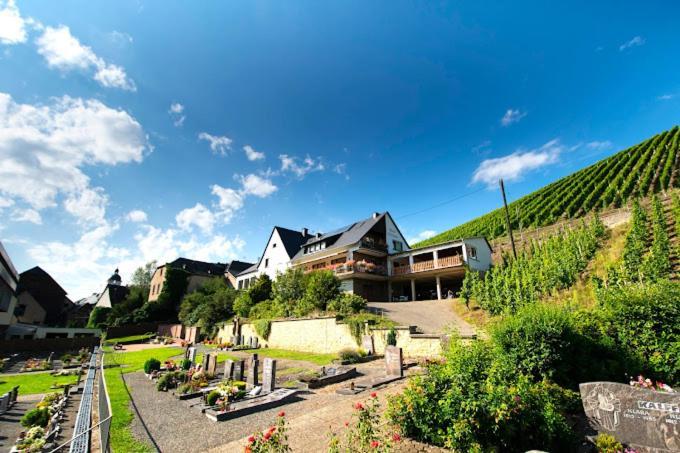 Chateau-De-La-Moselle Kinheim Esterno foto